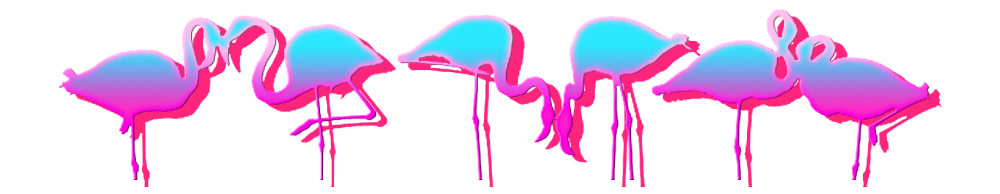 Delicious Flamingos